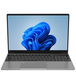 T15257 15.6" multi-form laptop